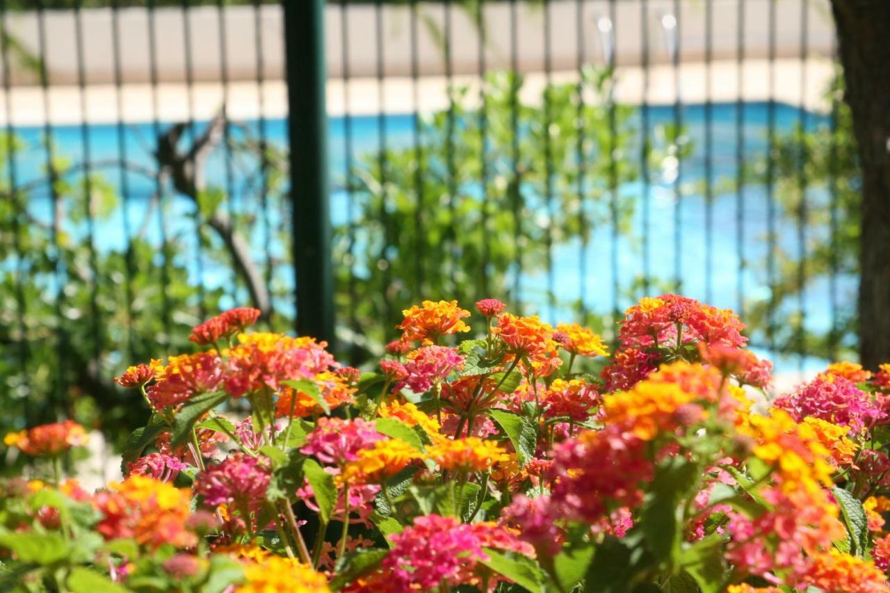 Le Fabrina Riviera Appartement Nice